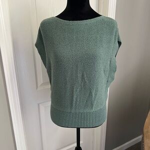 Ann Taylor Sage Green Scoop Neck Sweater
